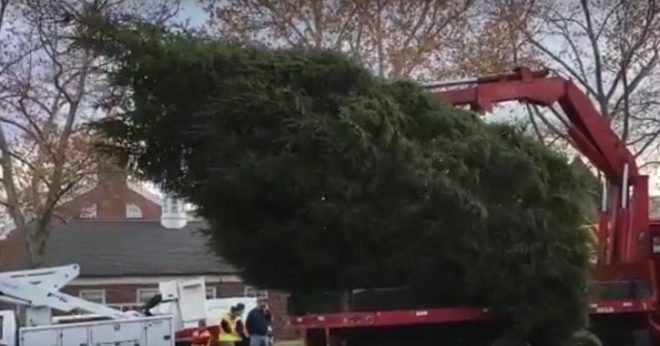 Learn how the Basking Ridge Fire Department has been delivering the town tree for almost 100 years.