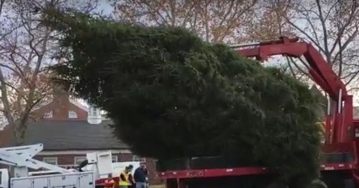 2016 - The Basking Ridge Fire Department raises the annual town Christmas tree on the green. Source: Basking Ridge Patch.