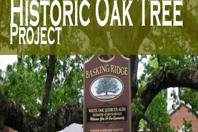 Basking Ridge Historic Oak Tree Project is one of the most heartwarming books ever made to celebrate the life and history of the 619 year oak tree that was lost in 2017. A true collectible. Source: Mr local history