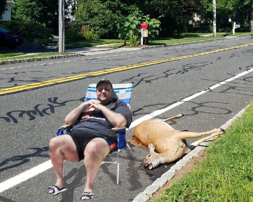 Chris Christie Beach chair meme Mr. Local History #mrlocalhistory