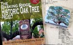 Basking Ridge Oak Tree and Keepsake Book