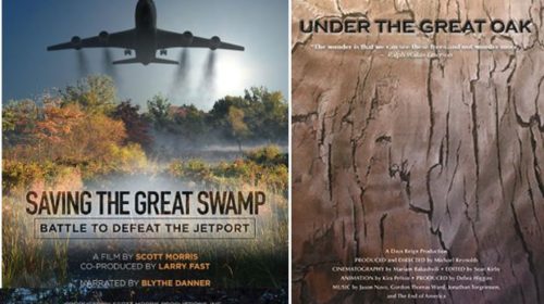 Historic Basking Ridge Documentary Films - Mr. Local History