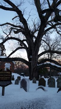 2016 snowstorm Basking Ridge