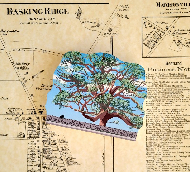 Basking Ridge Oak Tree Keepsake Mr Local History