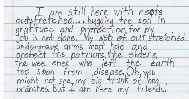 Tree Views Story - Basking Ridge Historic Oak Project Book