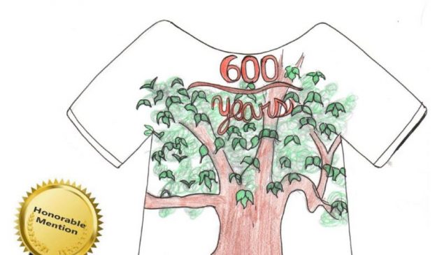 Tree Views Story - Basking Ridge Historic Oak Project Book