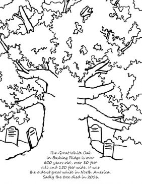 Mr Local History Coloring Book of the Historic Somerset Hills