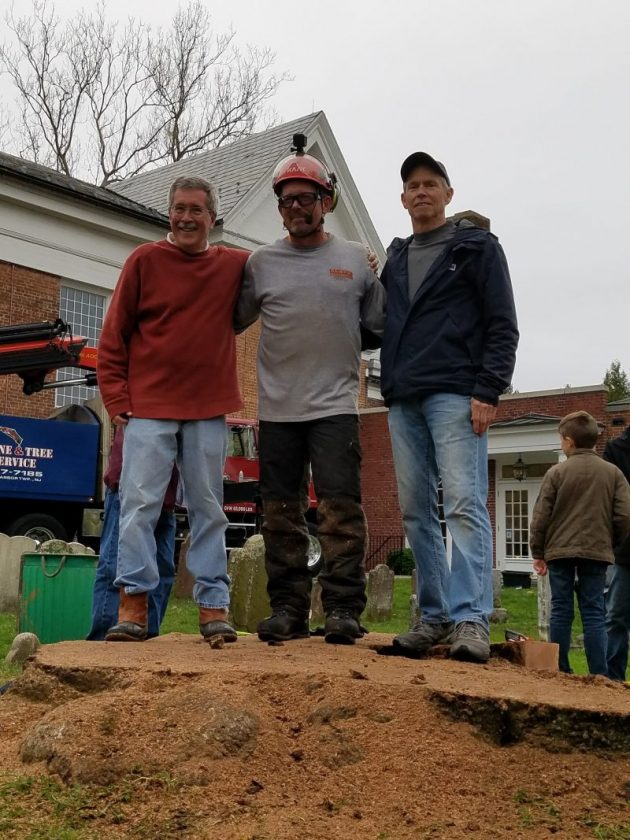 April 26,2017 the day the tree was taken.
