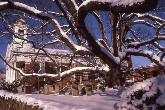 Basking-Ridge-Oak-Tree-Mark-Albright-1985