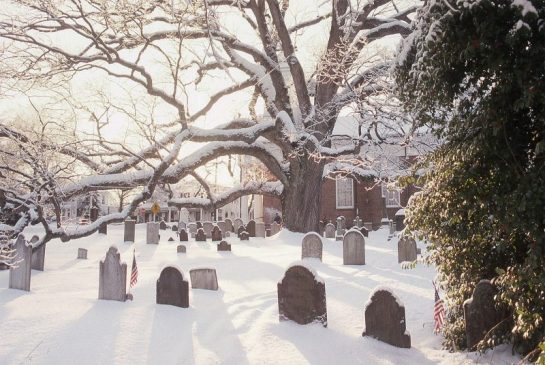 Basking-Ridge-Oak-Tree-Mark-Albright-1993