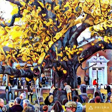 Boy Scouts Hug the Tree