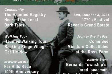 Mr Local History Magazine - Free