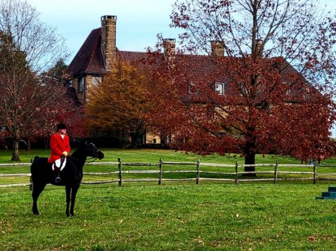 Thanksgiving Meet – Horses, Hounds and Foxes Before Turkey – A Countryside Tradition