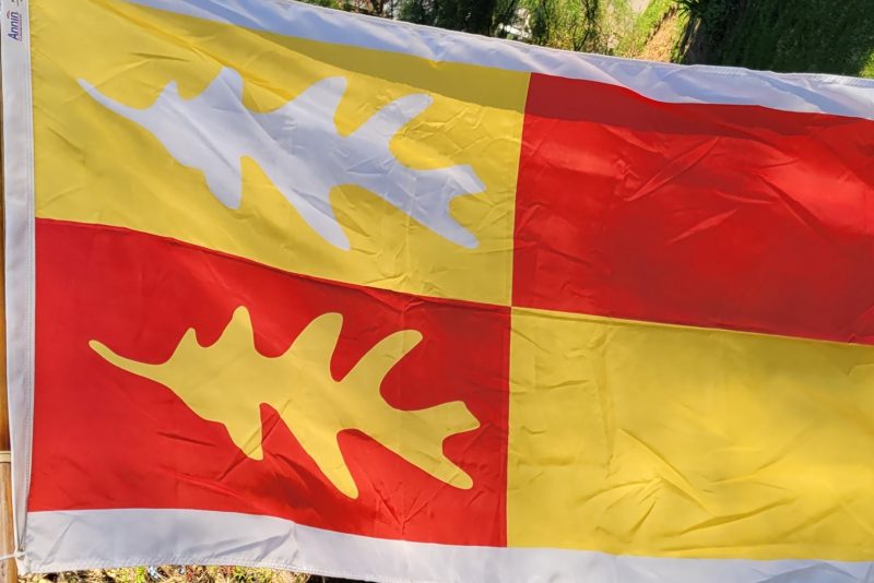 Mr Local History Project Fundraiser - Bernards Township Flag