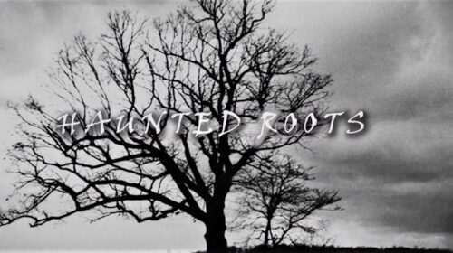 Haunted Roots – The Horror Tale of the Devil Tree in Central New Jersey