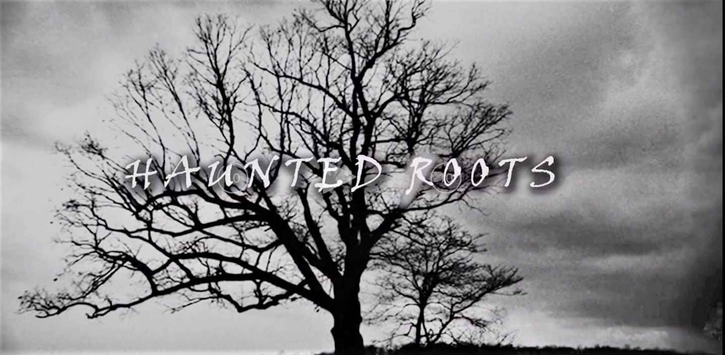 Haunted Roots – The Horror Tale of the Devil Tree in Central New Jersey