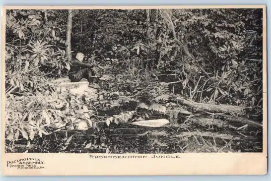 Part of the Assembly Postcard Collection Lake Naomi Pocono Pines History - Mr Local History Project