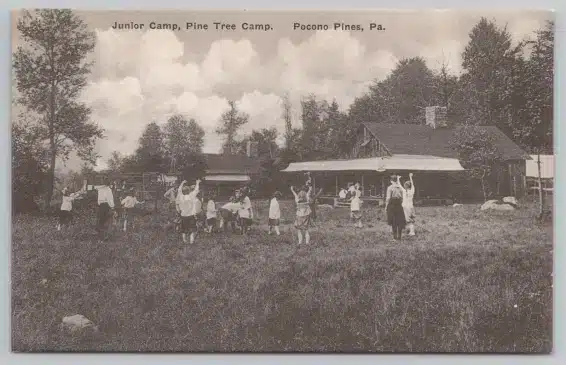 Pine-Tree-Camp-Pocono-Pines-PA-Postcard Mr. Local History