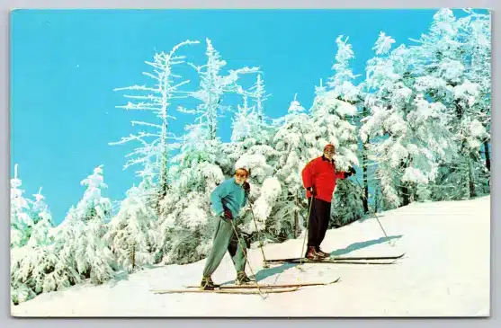 Pocono-Mountains-PA-Winter-Scene-Skiing-Snow-Ski-Pines Mr Local History