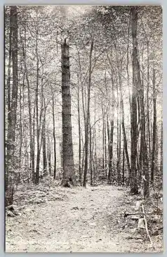 Part of the Assembly Postcard Collection Lake Naomi Pocono Pines History - Mr Local History Project