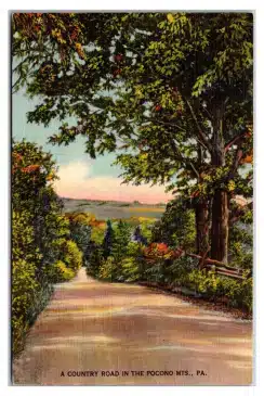 Postcard-1930-poconos - Mr Local History Project