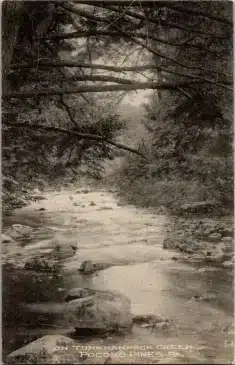 Part of the Assembly Postcard Collection Lake Naomi Pocono Pines History - Mr Local History Project