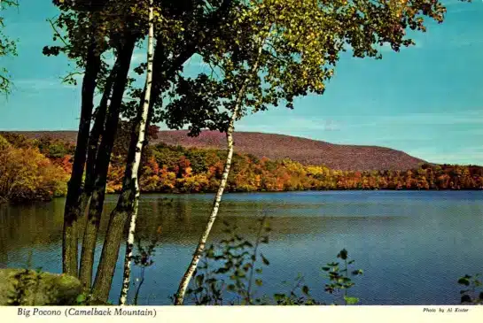 Poconos Postcard Collection - Mr Local History Project