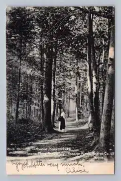 Part of the Assembly Postcard Collection - Mr Local History Project