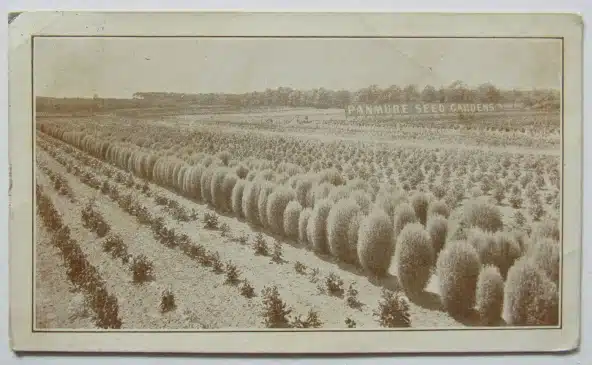 Pocono Lake PA Postcard Collection - Mr Local History