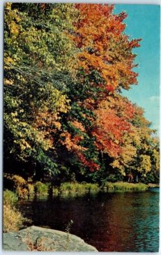 Poconos Postcard Collection - Mr Local History Project Pocono Lake Preserve