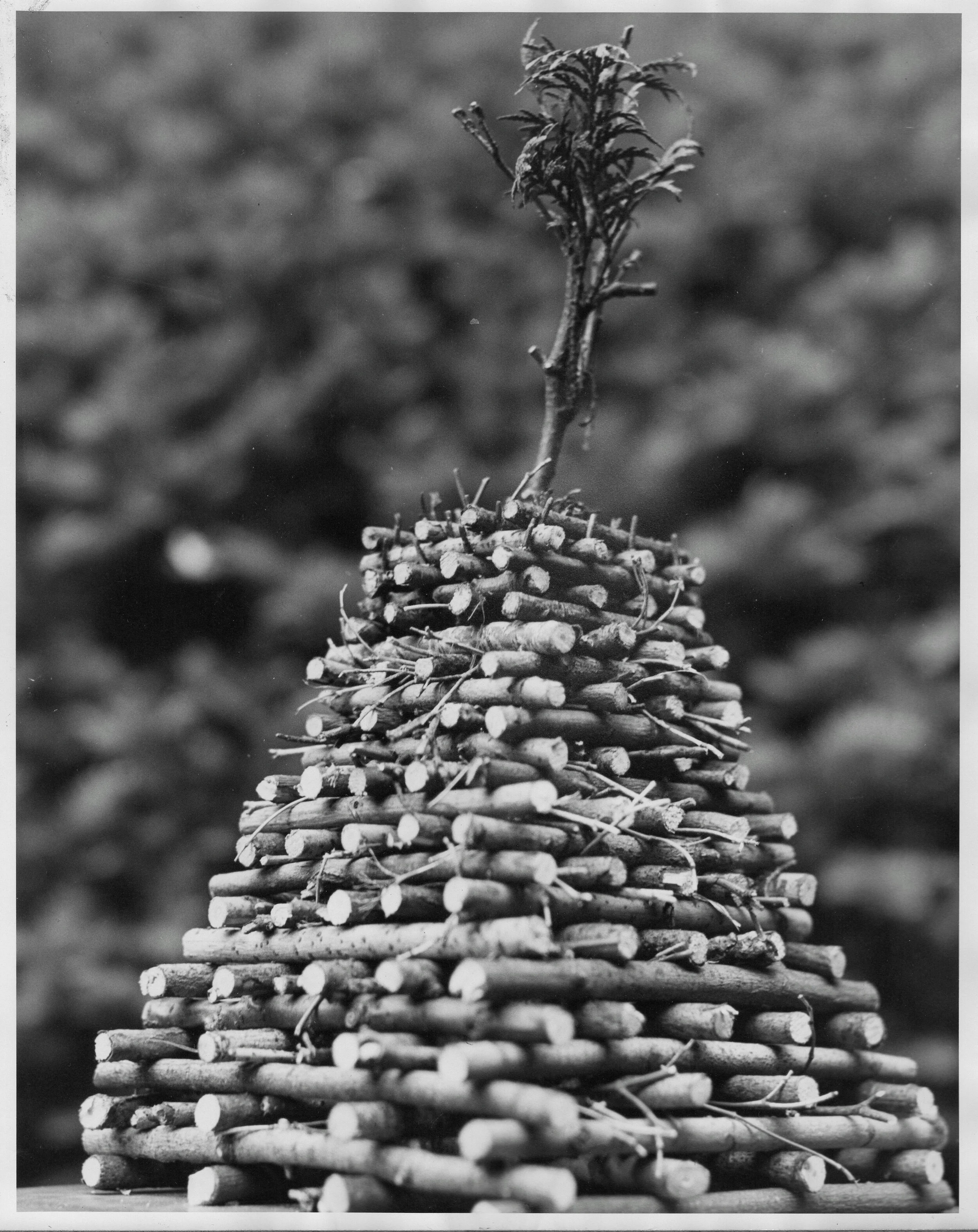 Replica Summit Beacon Summit Historical Society MLHP Beacon Collection