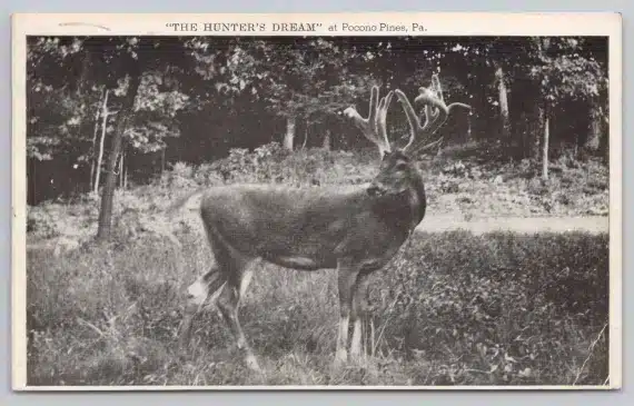 Pocono Postcard Collection - Mr Local History